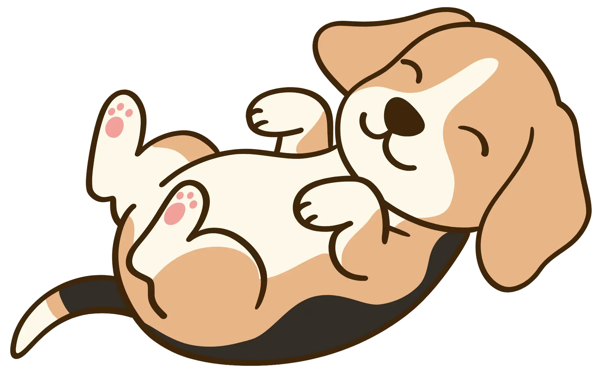 Beagle rolling