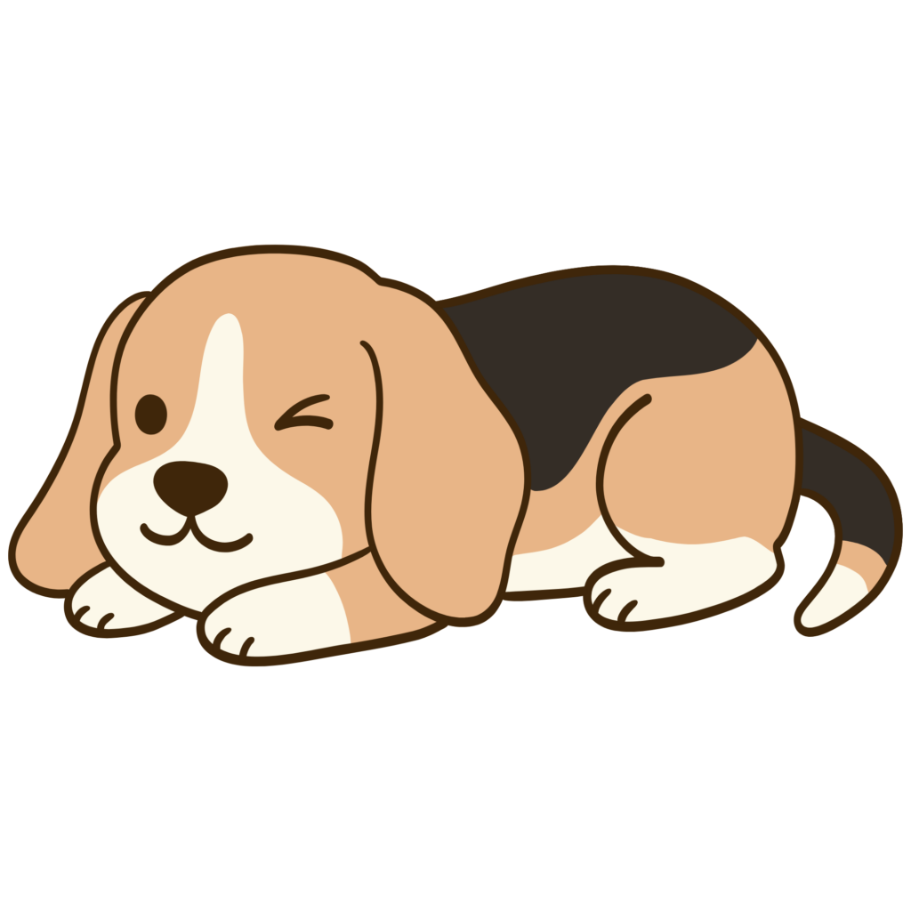 Beagle lying down