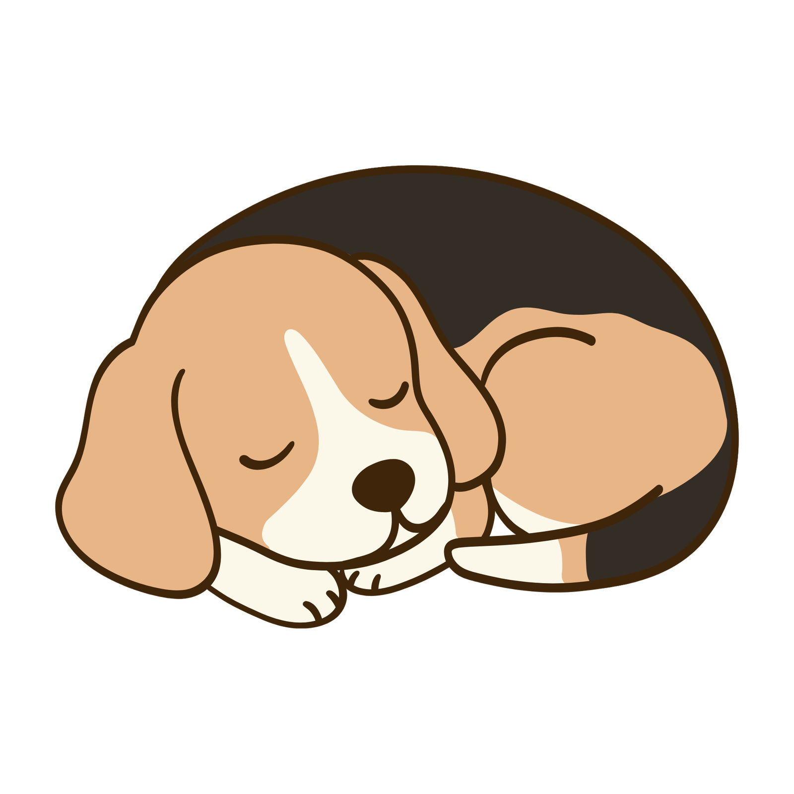 Beagle sleeping